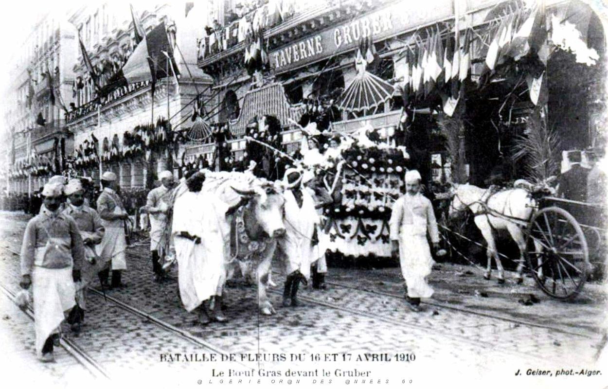 ALGER - BATAILLE DE FLEURS - PROMENADE DES BOEUFS GRAS2 - AVRIL 1910.jpg